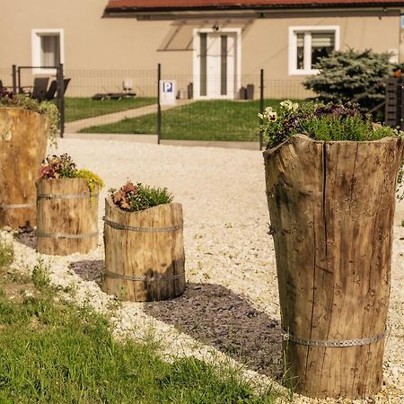Апартаменти Apartament Pod Lasem Олджиховіце-Клодзькі Екстер'єр фото